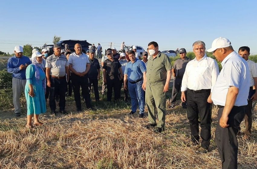 Бош вазир ўринбосари ҳамда вилоят ҳокими Олот туманида ғалладан бўшаган майдонларга такрорий экинларни жойлаштириш жараёни билан танишди